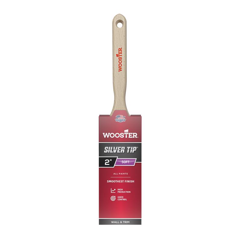 PAINTBRSH SLVRTP FS 2"