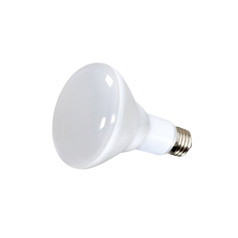 LED BULB BR30 E26 4.5W