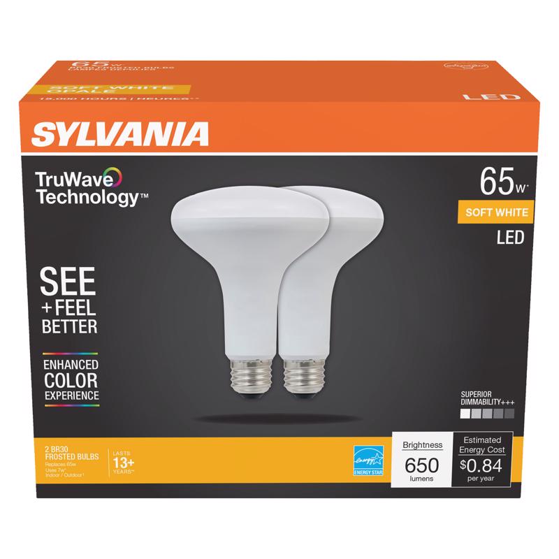 LED FLOOD BULB BR30 E26