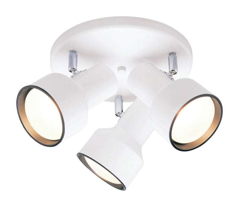 CEIL LIGHT 18.25"W