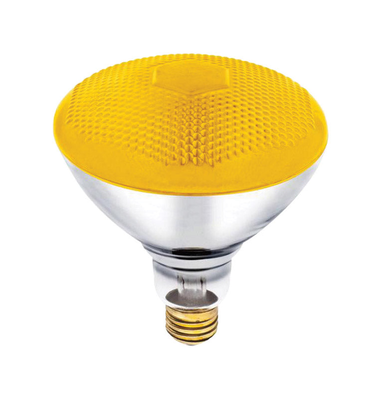 INCAND BULB 100W E26