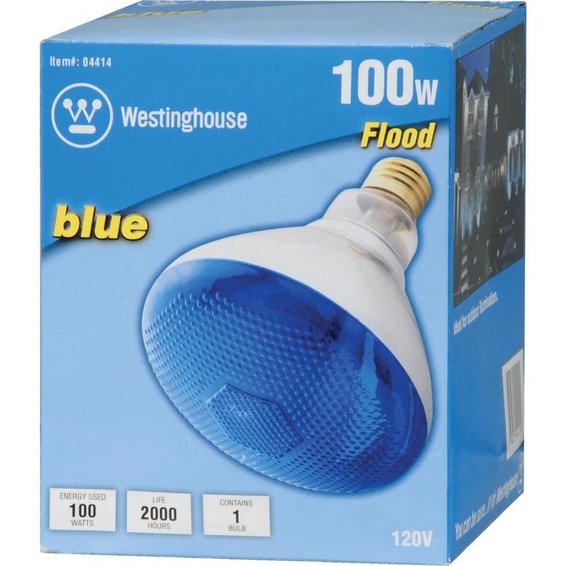 INCAND BULB 100W E26
