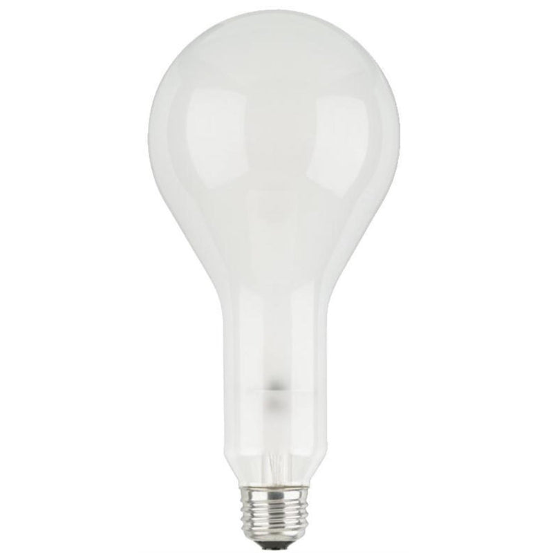 INCAND BULB 300W E26