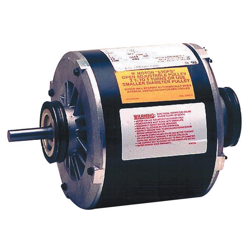 EVAP COOLR MOTOR