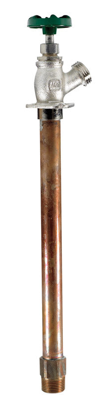 WALL HYDRANT 3/4MHTX10L