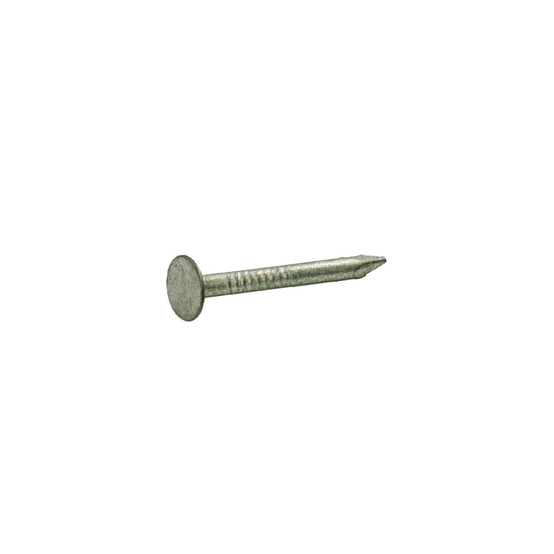 NAIL RFG HDG 3" 1#