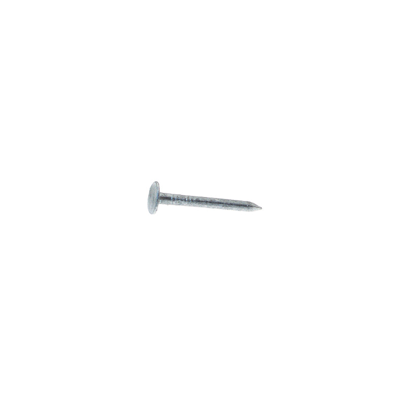 NAIL SDG STL 2" 1#