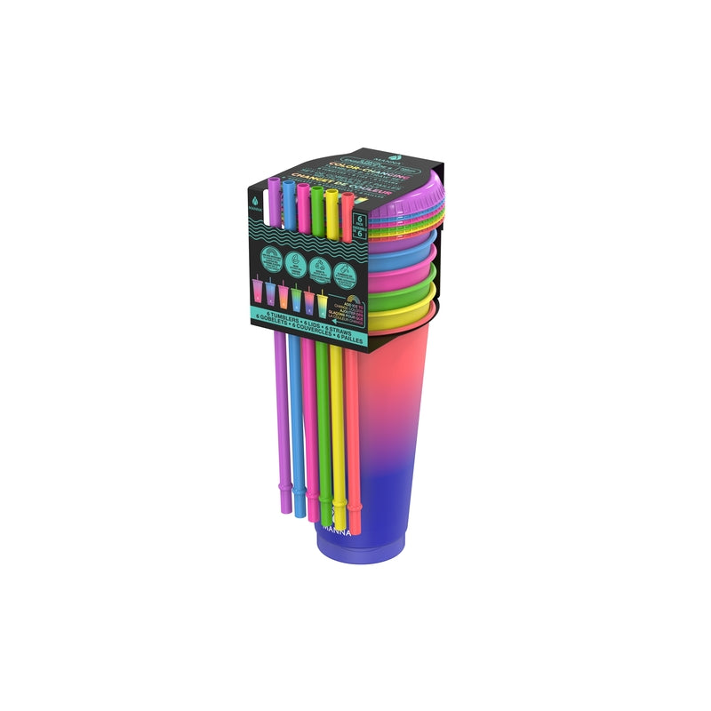TUMBLR LD&STRW 24OZ 6PK