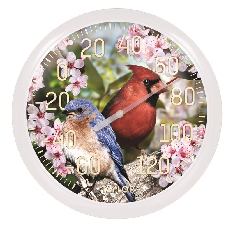 Taylor Dial Thermometer Plastic Multicolored 13.25 in.