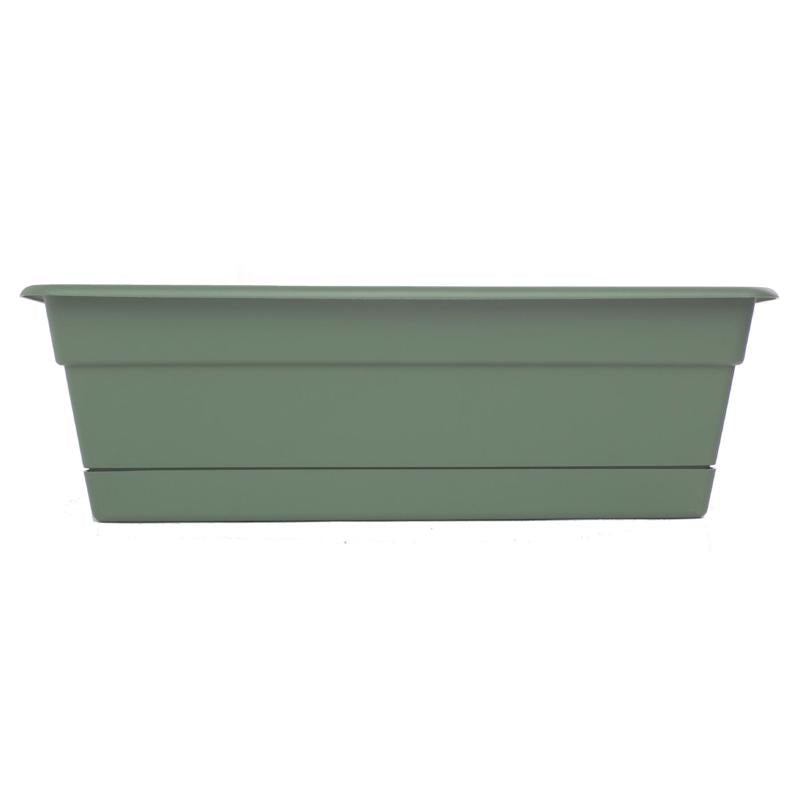 WNDW BX PLST BASIL 18"