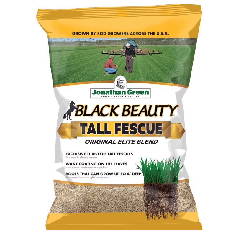 GRASS SD TALL FSC GRS 7#
