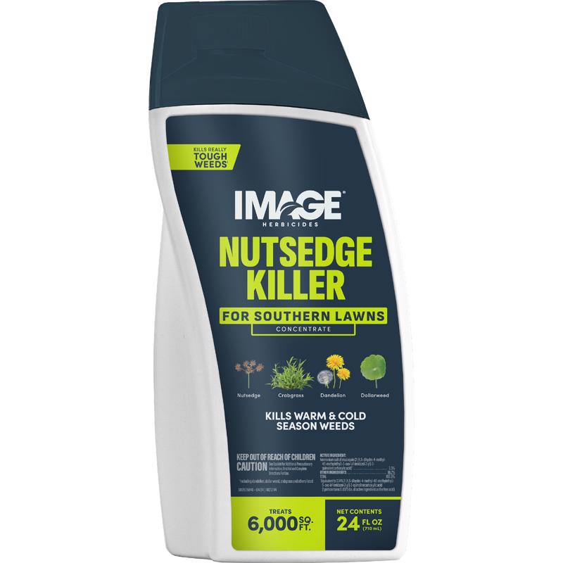 IMAGE CONCENTRATE 24 OZ