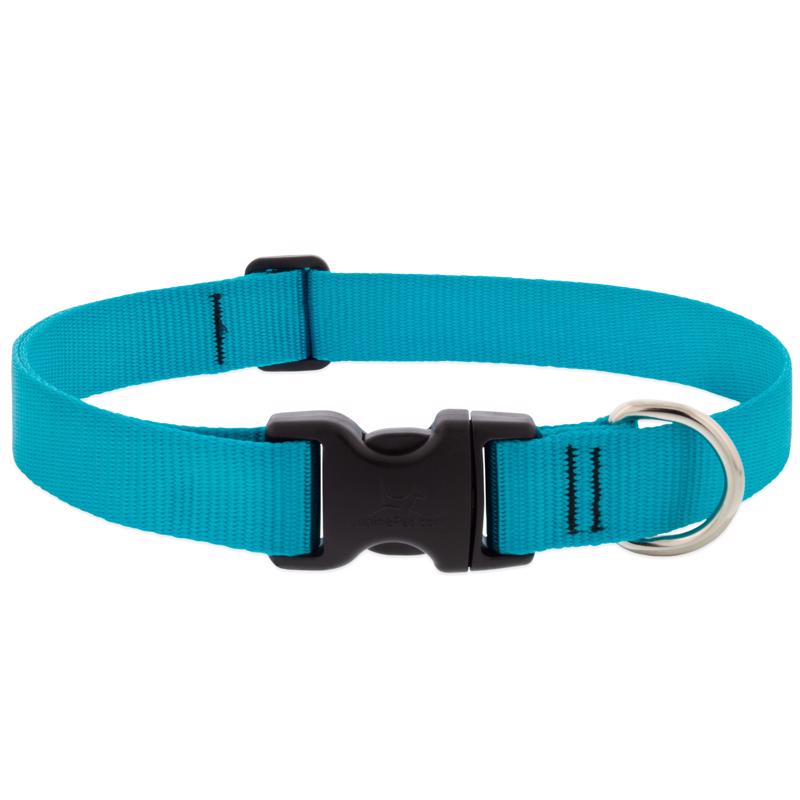 DOG COLLAR 16X28" AQUA