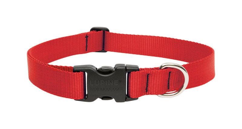DOG COLLAR 12-20"RED ADJ