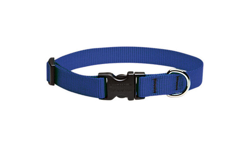 DOG COLLAR 9-14"BLU ADJ