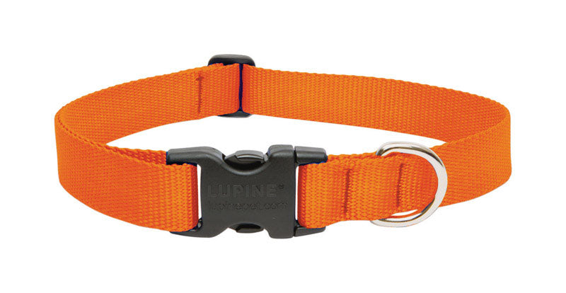 DOG COLLAR 12-20"ORG ADJ