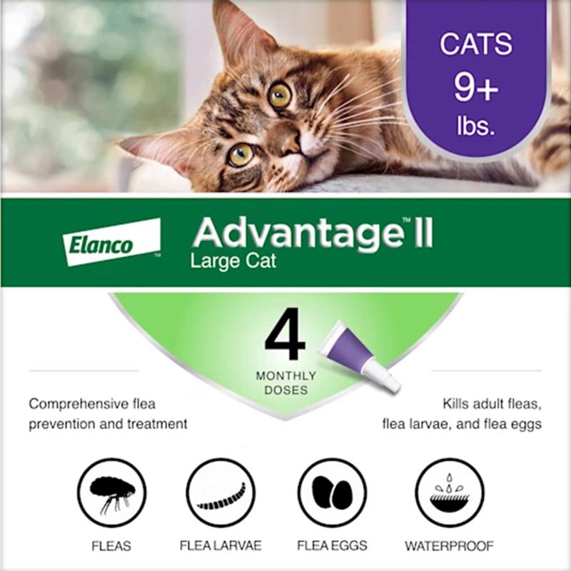 Elanco Advantage II Liquid Cat Flea Drops Imidacloprid/Pyriproxyfen 0.108 oz