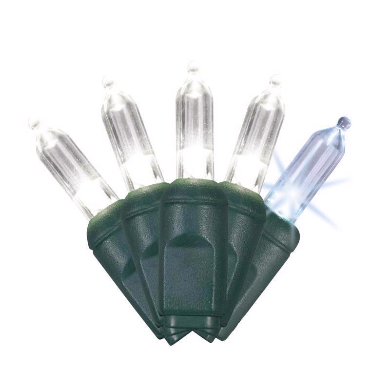 PLAT T5 LIGHTS 50CT PW S