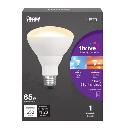 LED BULB BR30 E26 1.2W