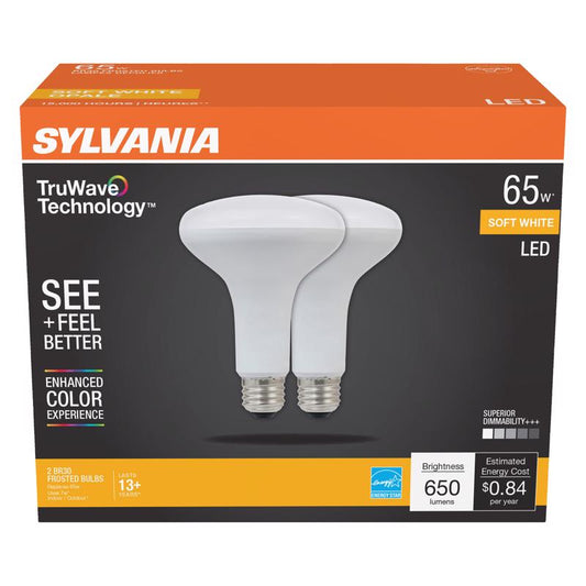 LED FLOOD BULB BR30 E26