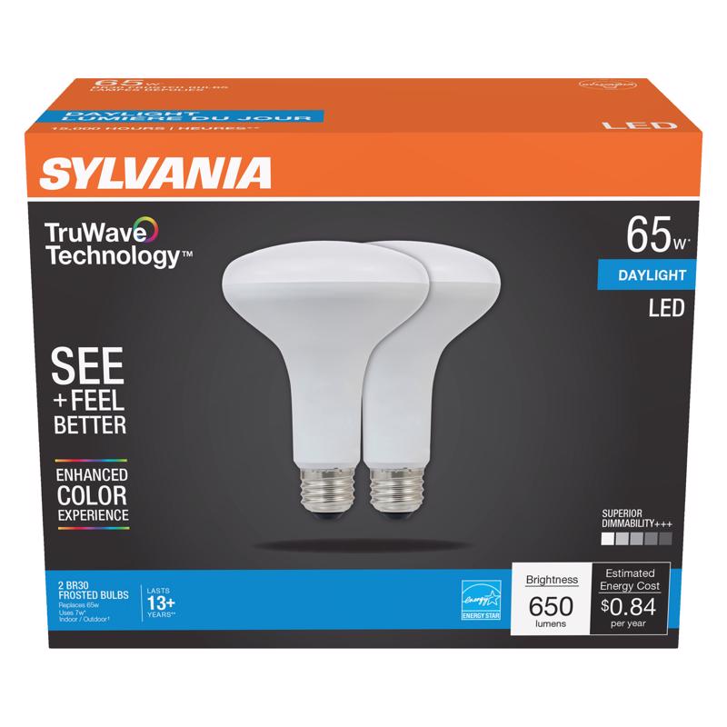 LED FLOOD BULB BR30 E26