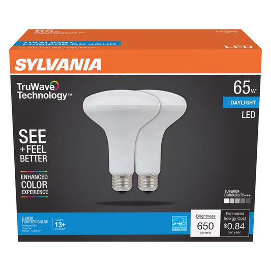 LED FLOOD BULB BR30 E26