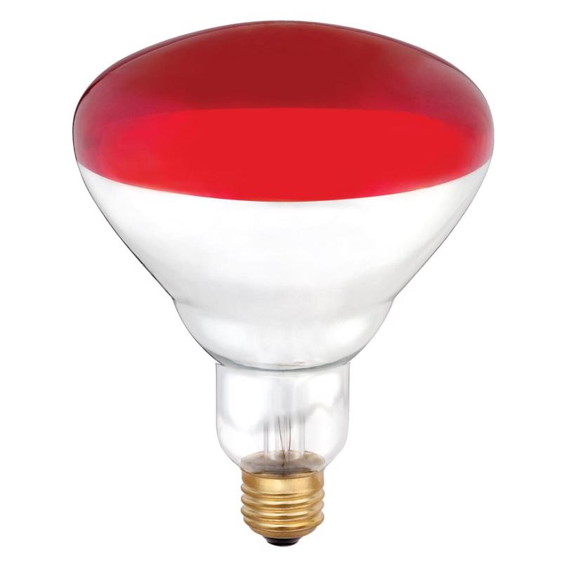 INCAND BULB 250W E26