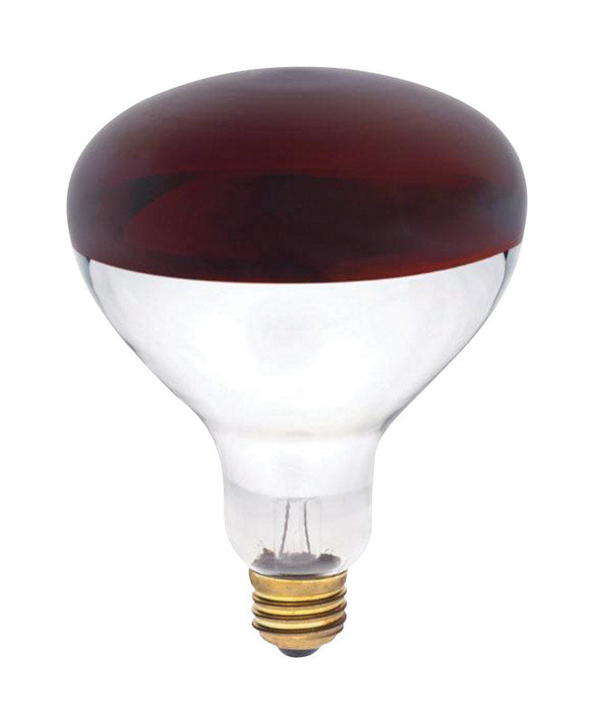 INCAND BULB 250W E26