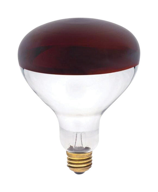 INCAND BULB 250W E26