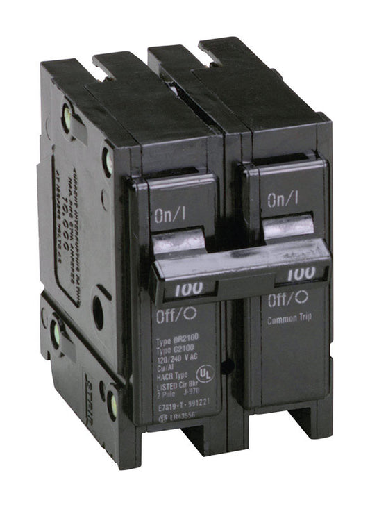 Eaton 100 amps Plug In 2-Pole Circuit Breaker