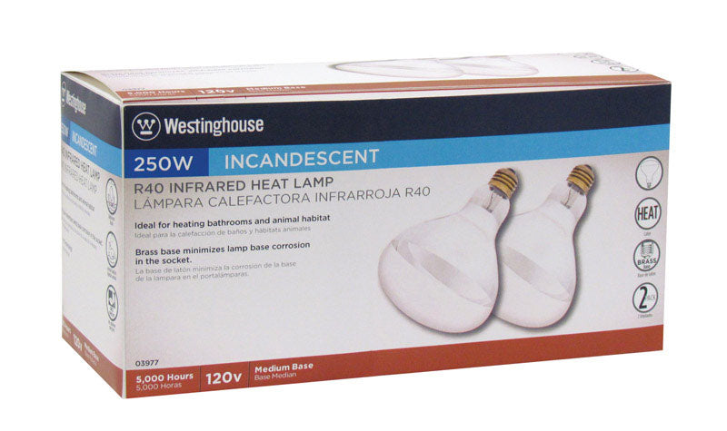 INCAND BULB 250W MED