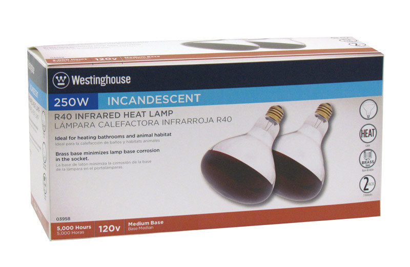 INCAND BULB 250W MED