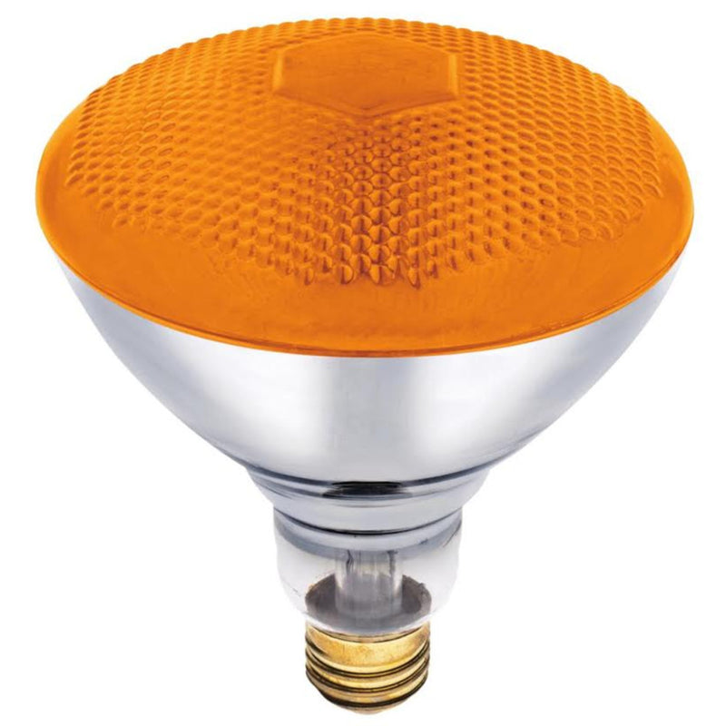 INCAND BULB 100W E26