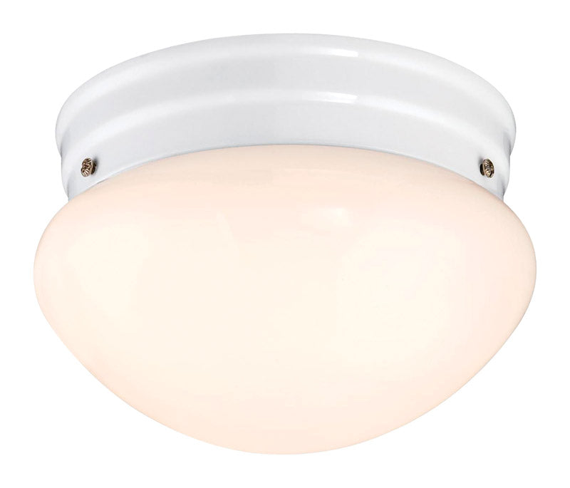 LIGHT FIXTURE POLISH