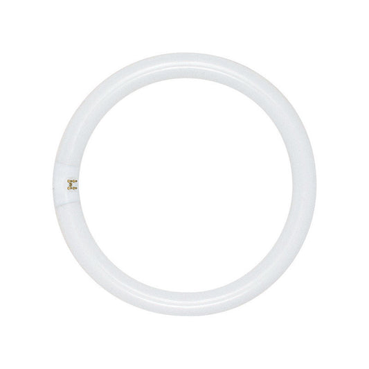 BULB FLUOR CIRCLE 8" 22W