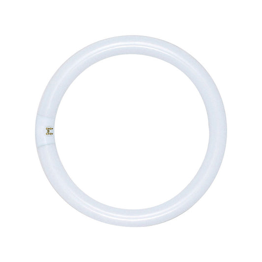 BULB FLUOR CIRCLE 12"32W