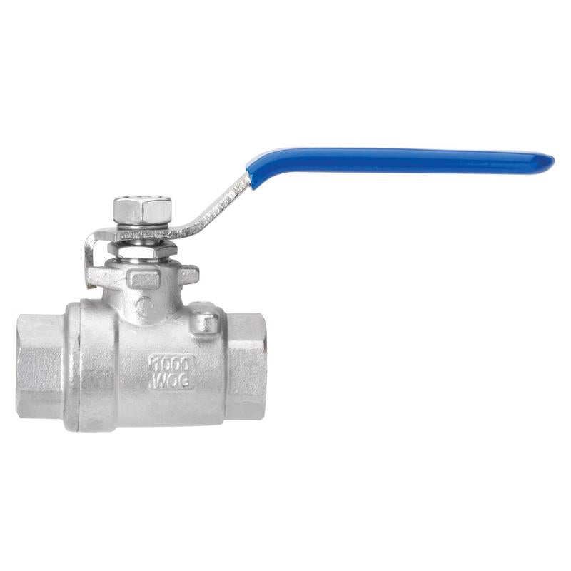 BALL VLV 1" SS FIP