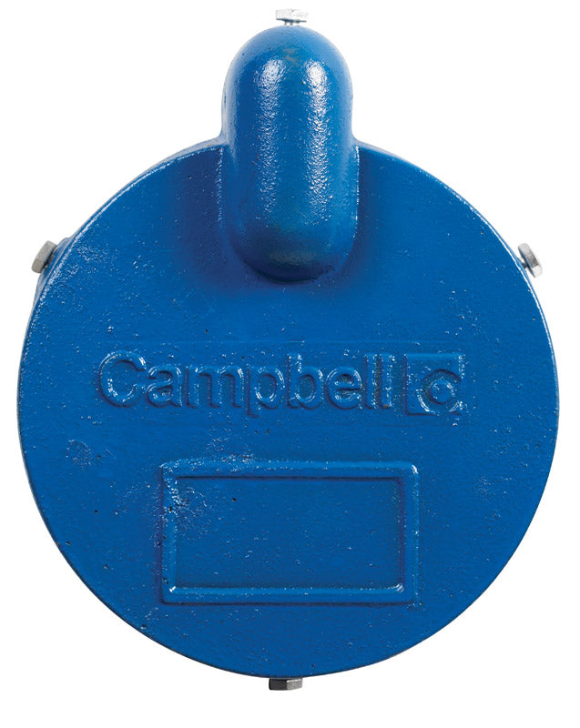 WELL CAP 6-1/4" CST IRN
