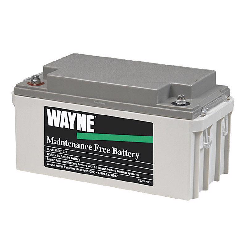 MAINT FREE BATTERY 12V