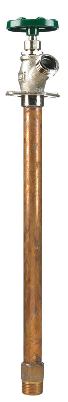 HYDRANT 3/4MHTX12L