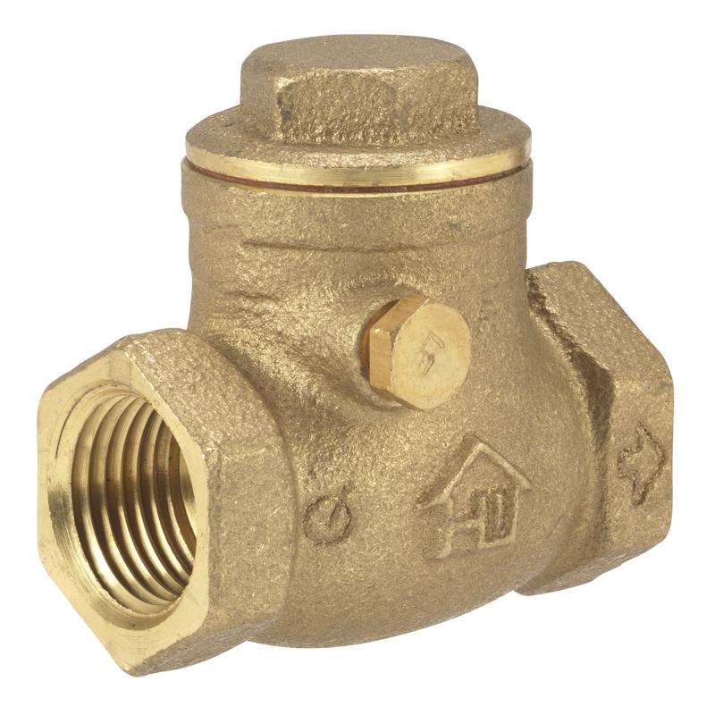 CHECK VALVE SWNG 1/2"