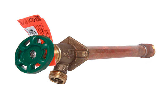 WALL HYDRANT 1/2FIPX13L