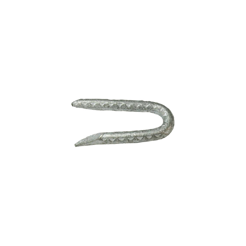 FNCE STAPLES 1.75" 50#