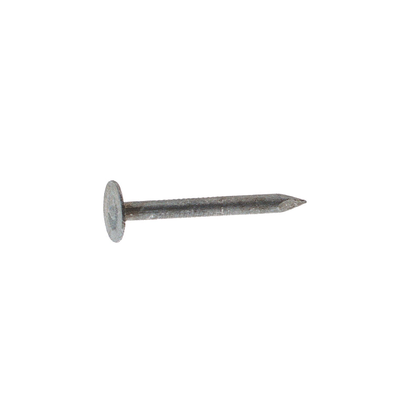 ROOF NAIL EG 2" 50#