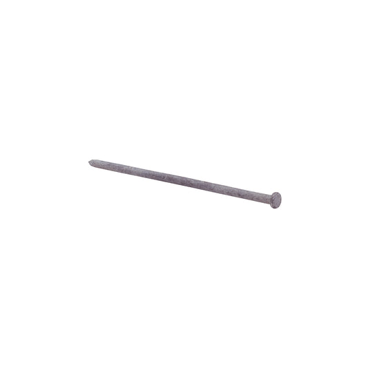 SPIKE RND HDG 8" 50#
