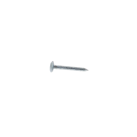 NAIL SDG STL 2" 1#