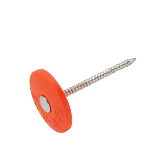 NAIL CAP P/S EG 3" 2K
