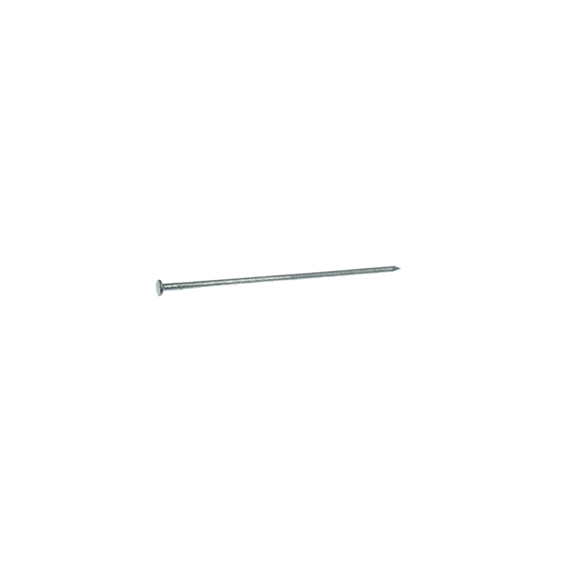 NAIL PB HDG 60DX6" 50#