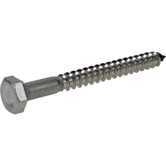 BOLT LAG 1/4X2-1/2" SS