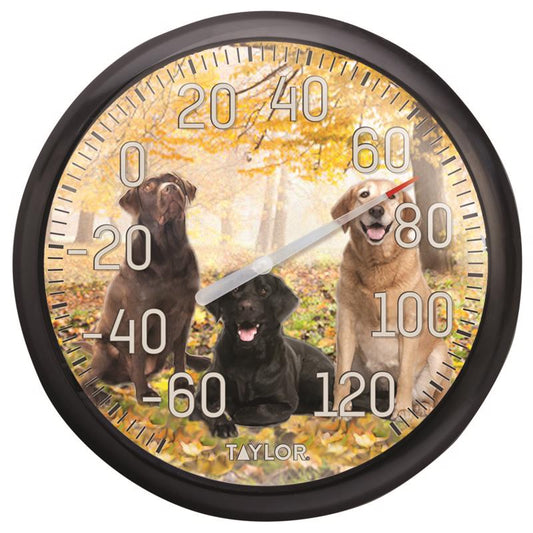 Taylor Dial Thermometer Plastic Multicolored 13.25 in.